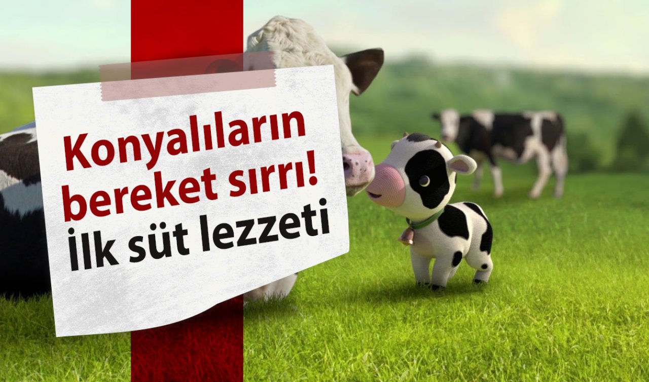 Konyalıların bereket sırrı! İlk süt lezzeti