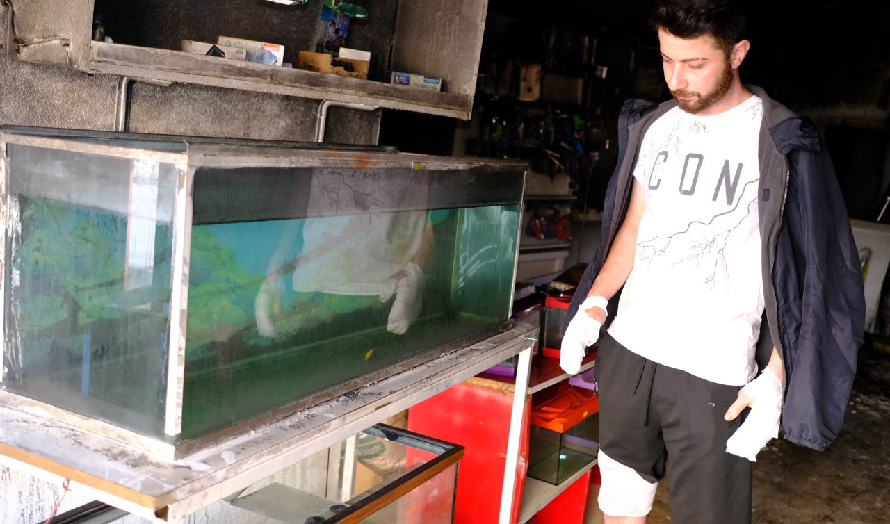  Pet shop yangınında hayvanlarını kurtarmak isterken yaralanmıştı: Ellerim, ayağım ve karnım yandı