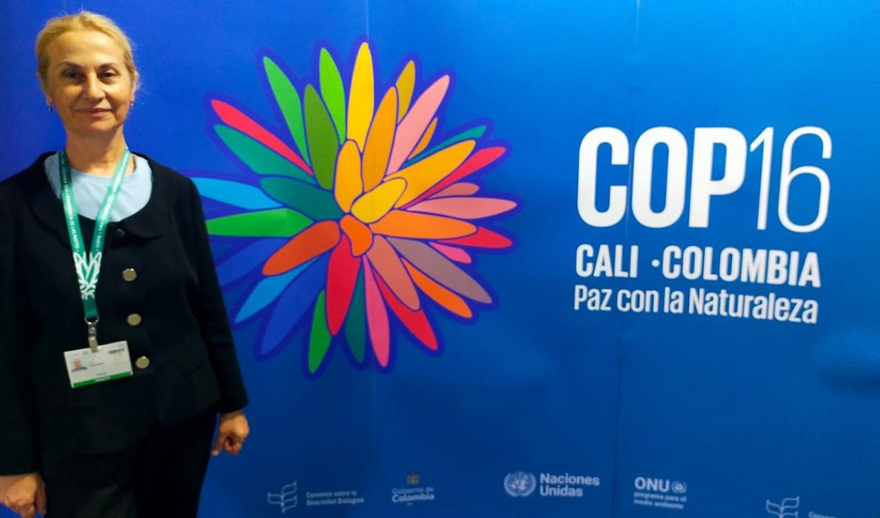 Türk heyeti BM COP16’ya katıldı