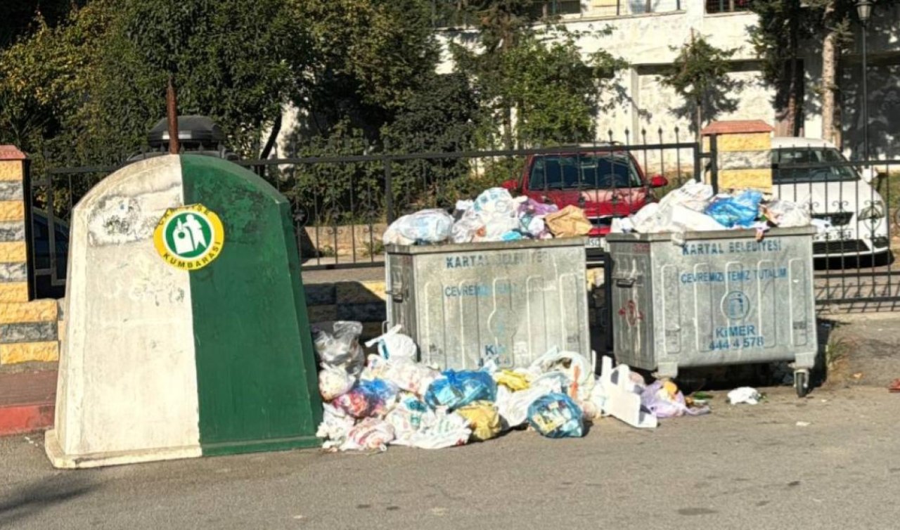 Bazı mahallelerde konteynerler ve çevresinde çöp yığınları 