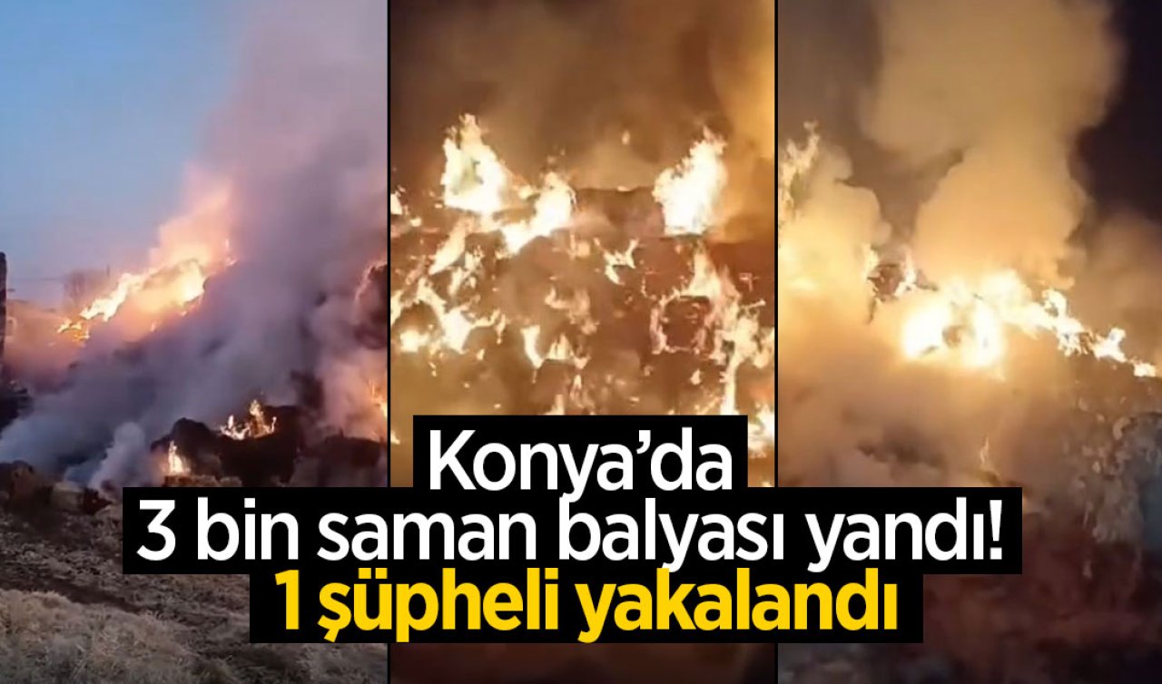 Konya’da 3 bin saman balyası yandı! 1 şüpheli yakalandı