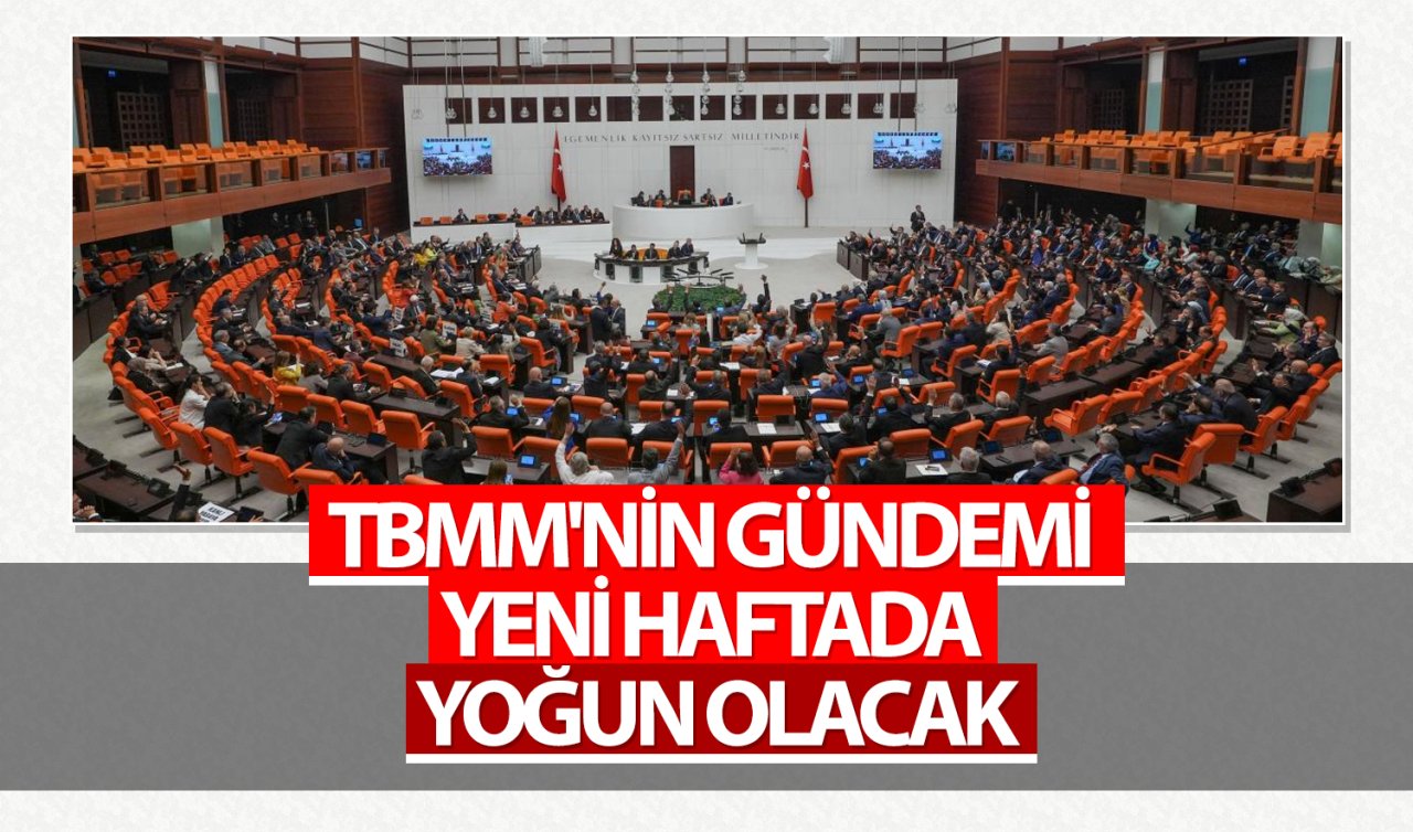  TBMM’nin gündemi yeni haftada yoğun olacak