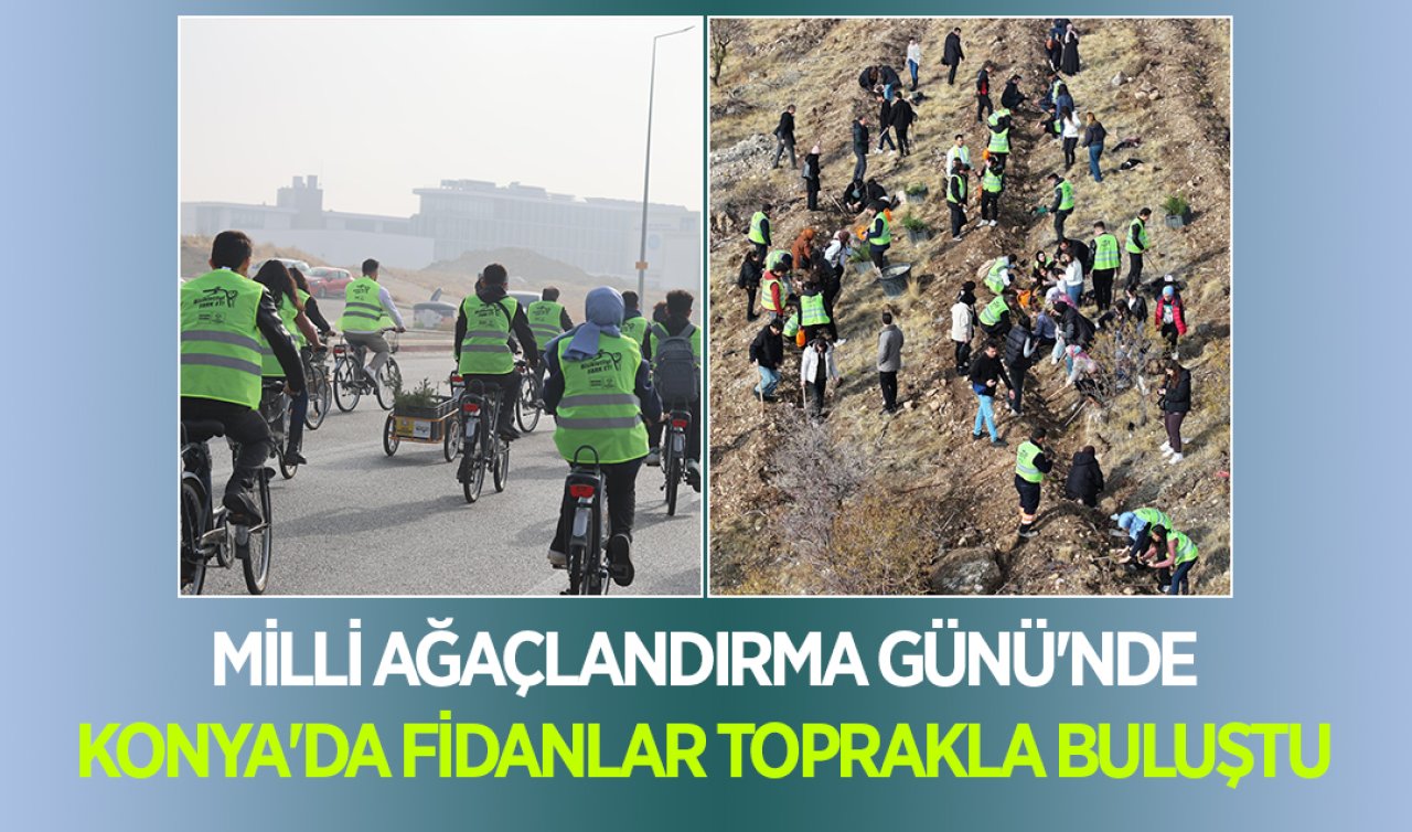  Milli Ağaçlandırma Günü’nde Konya’da fidanlar toprakla buluştu 