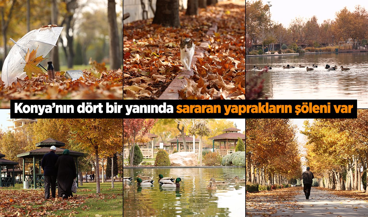  Konya’nın dört bir yanında sararan yaprakların şöleni var