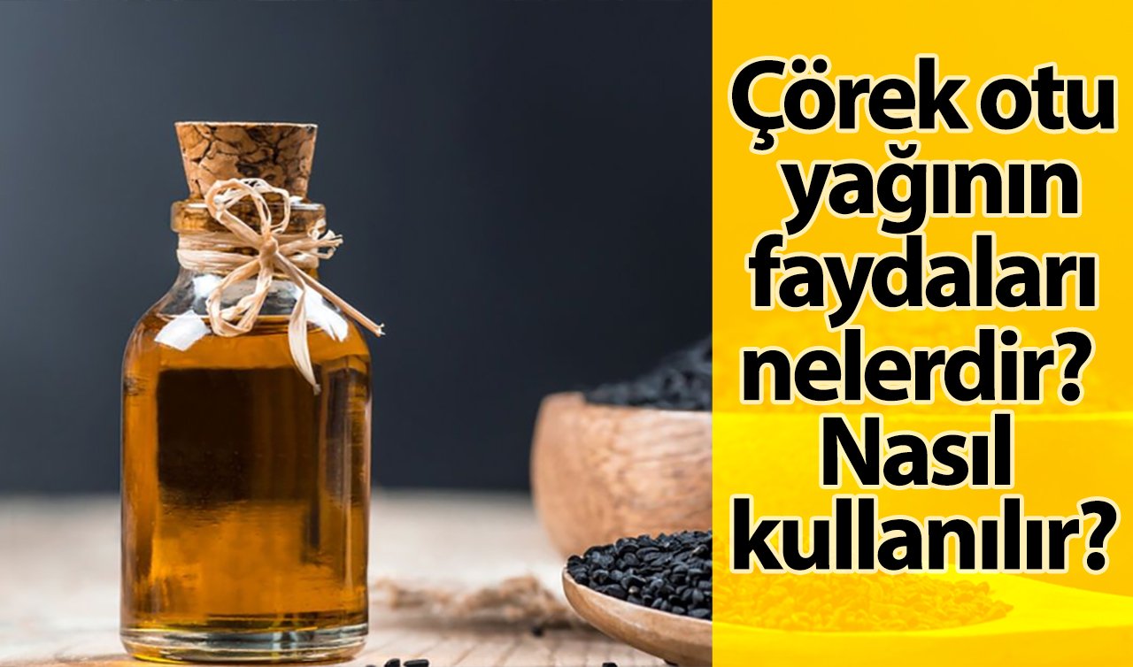 Çörek otu yağının faydaları nelerdir? Nasıl kullanılır?