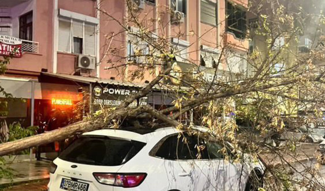  Fırtına ağaçları devirdi; seraları yıktı