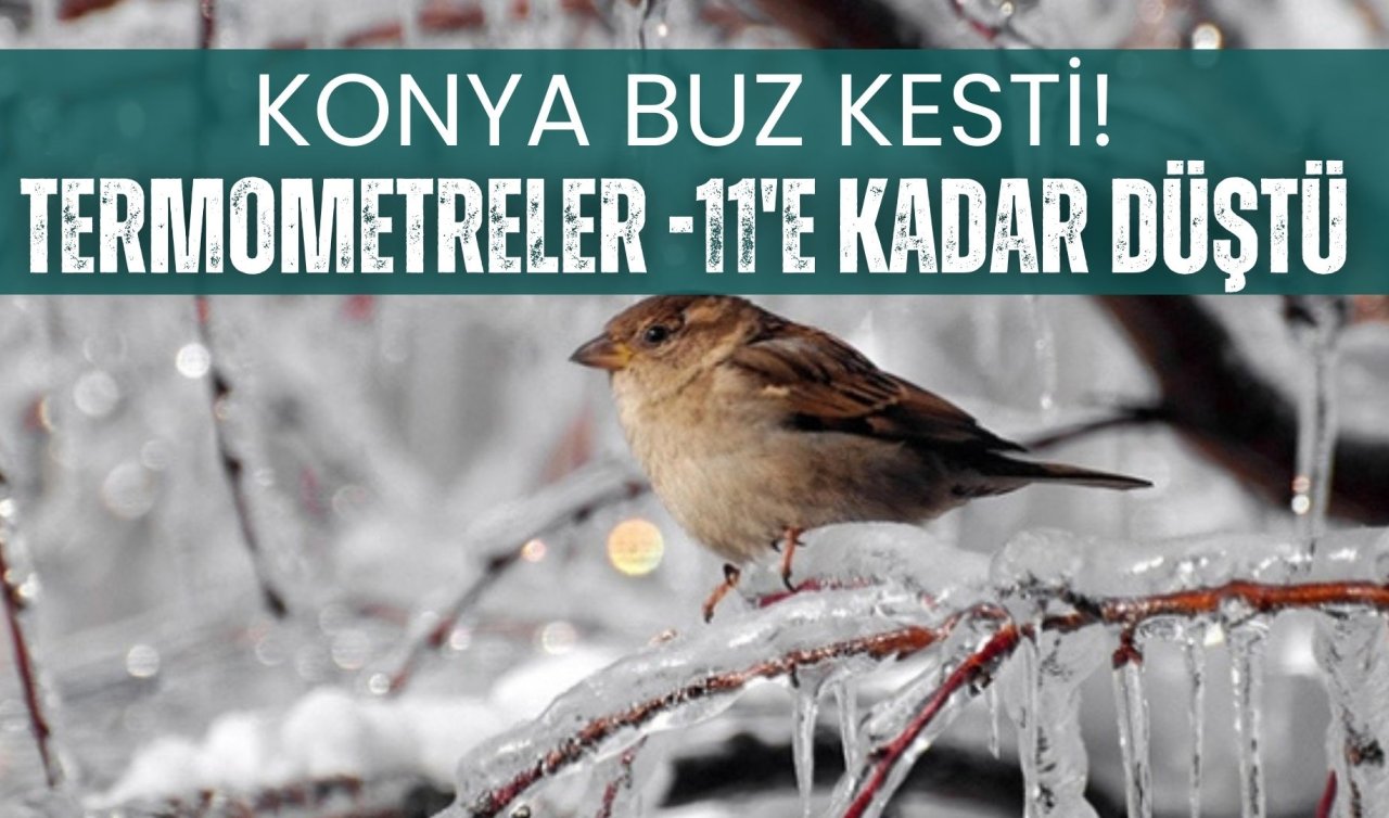 Konya’da dondurucu soğuklar etkili oldu: Termometreler eksi 11’e kadar düştü