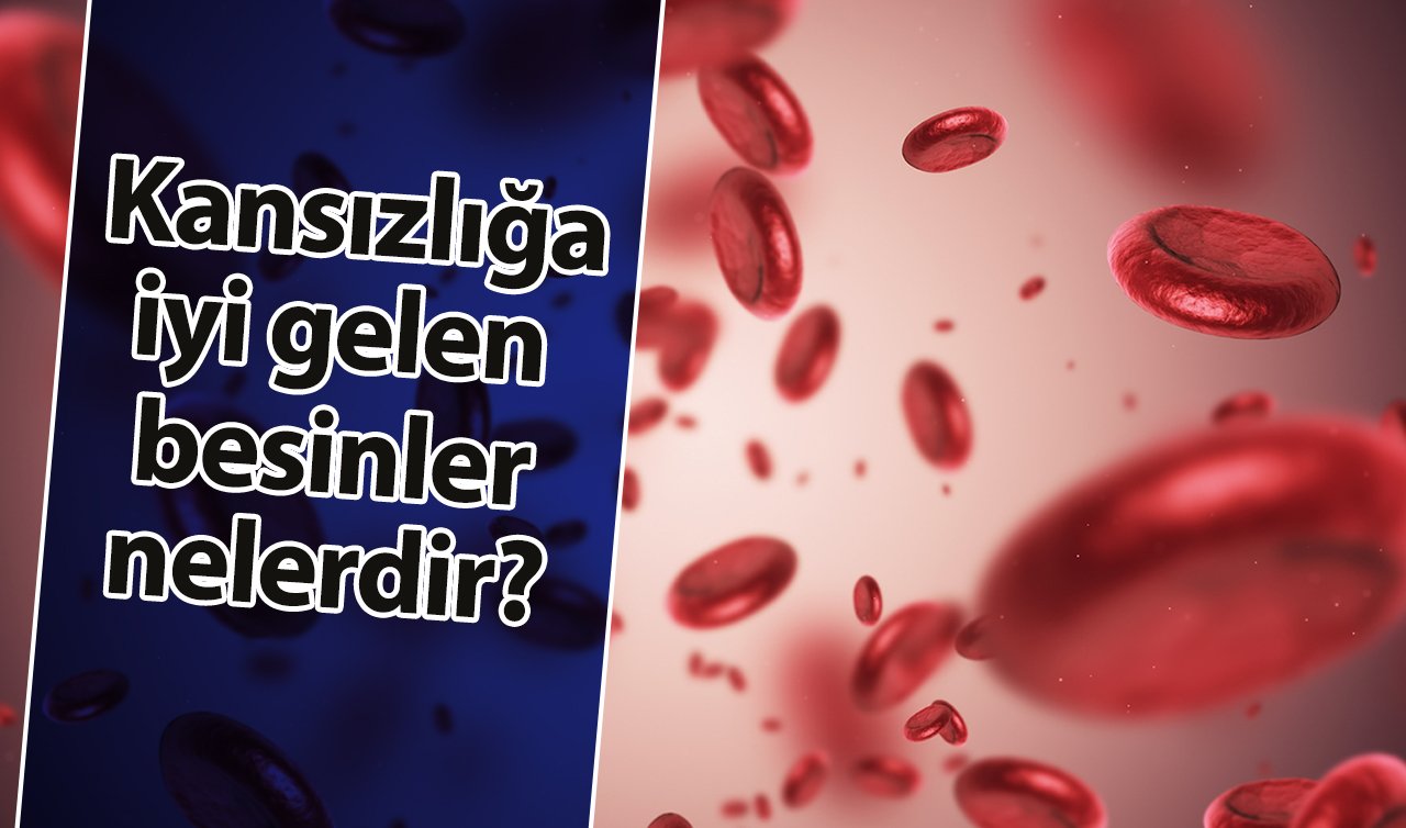  Kansızlığa iyi gelen besinler nelerdir?