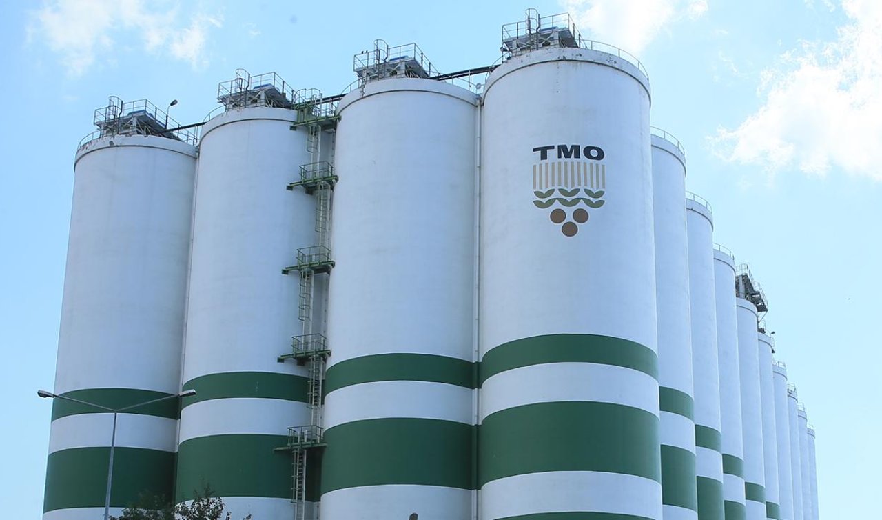 TMO 90 gün vadeli arpa ve yulaf satışı yapacak