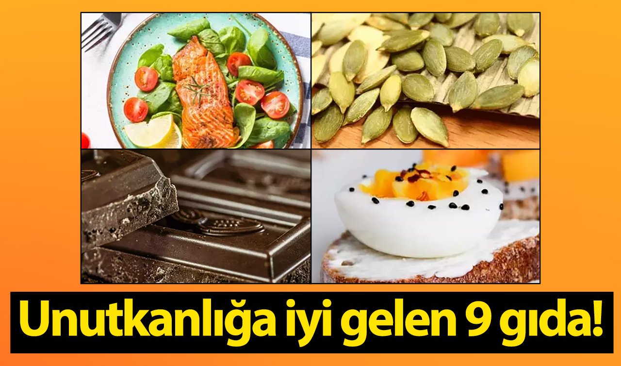  Unutkanlığa iyi gelen 9 gıda!