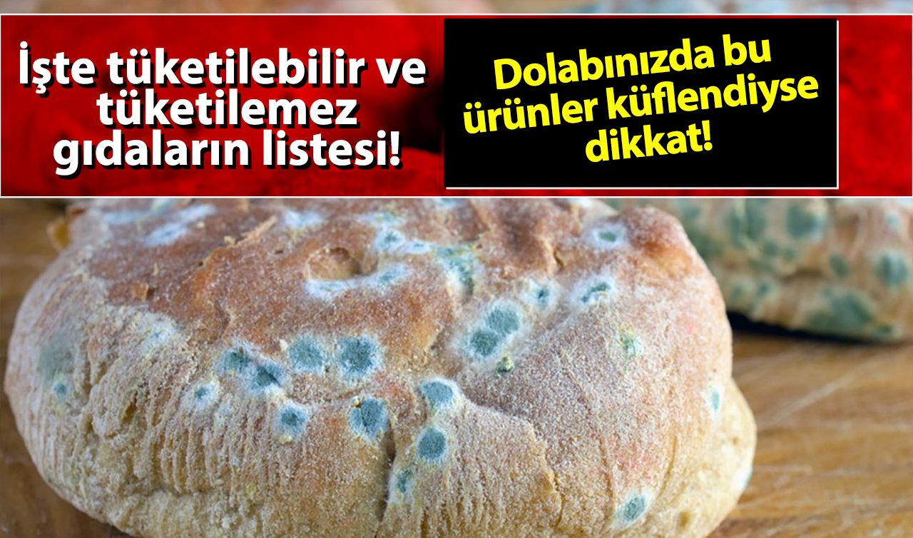  Dolabınızda bu ürünler küflendiyse dikkat! Küflü gıdalar hakkında doğru bildiklerimiz yanlış olabilir!