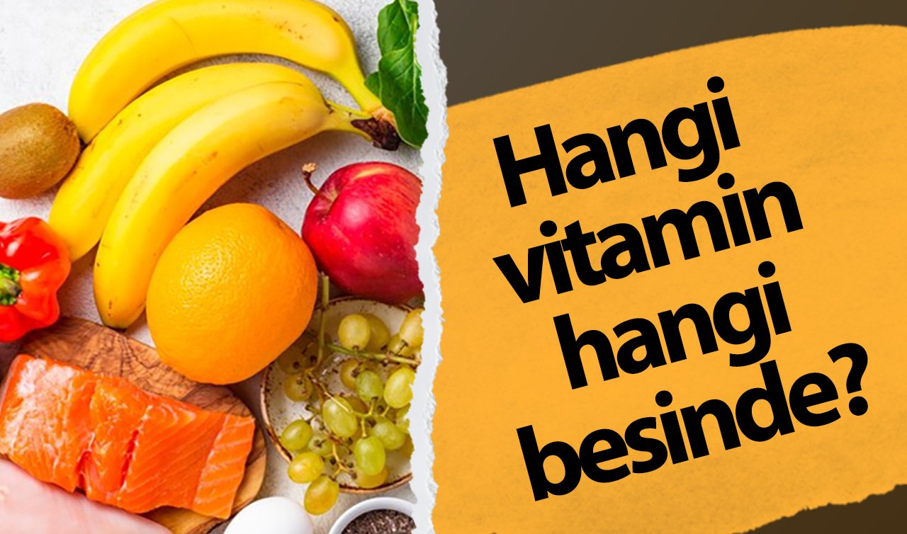  Hangi vitamin hangi besinde bulunur?