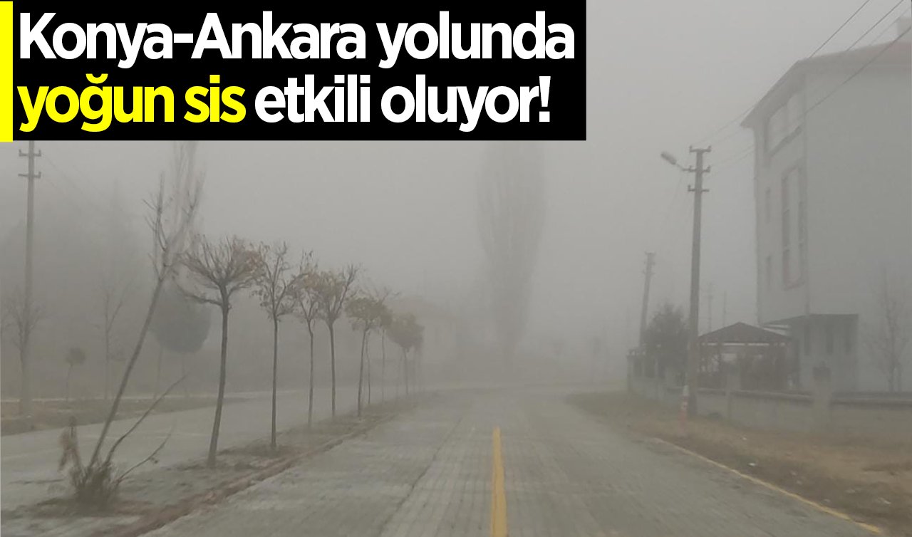 Konya-Ankara yolunda yoğun sis etkili oluyor!