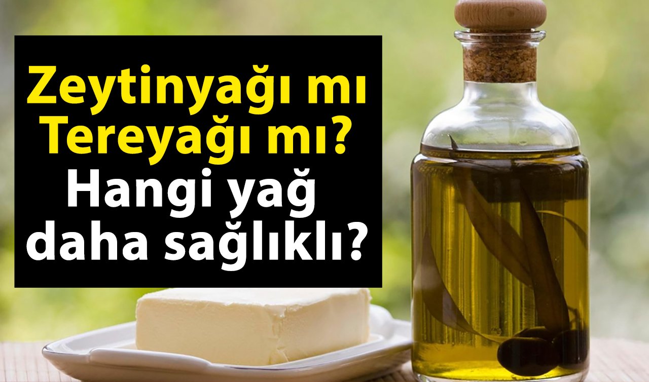 Zeytinyağı mı Tereyağı mı? Hangi yağ daha sağlıklı?