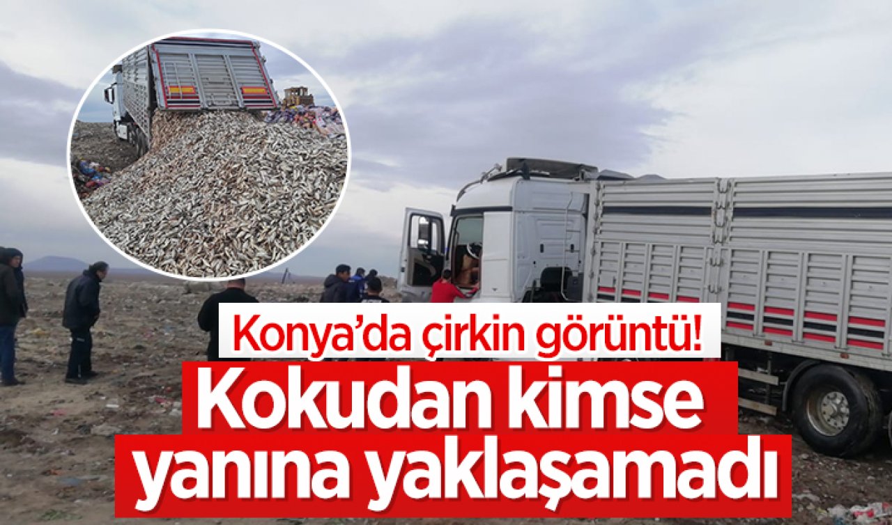  Konya’da çirkin görüntü! Kokudan kimse yanına yaklaşamadı