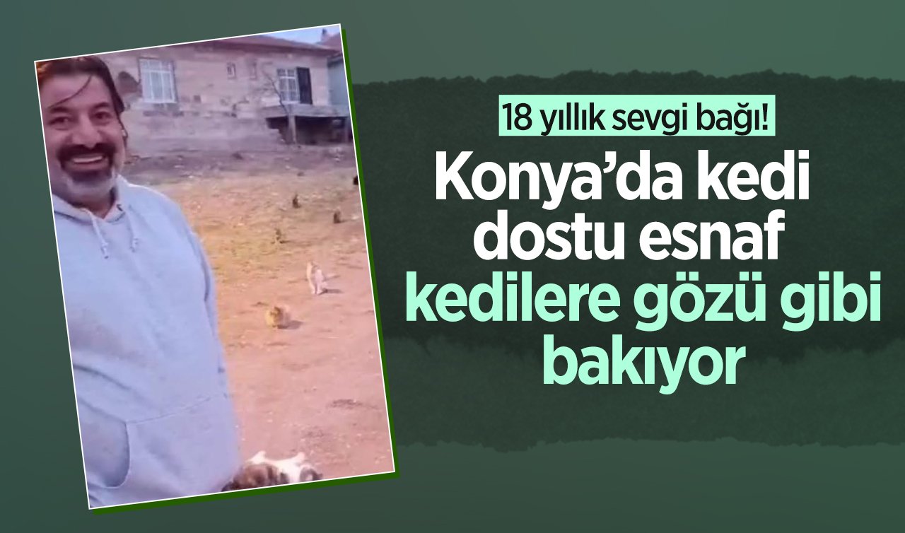 18 yıllık sevgi bağı! Konya’da kedi dostu esnaf kedilere gözü gibi bakıyor 