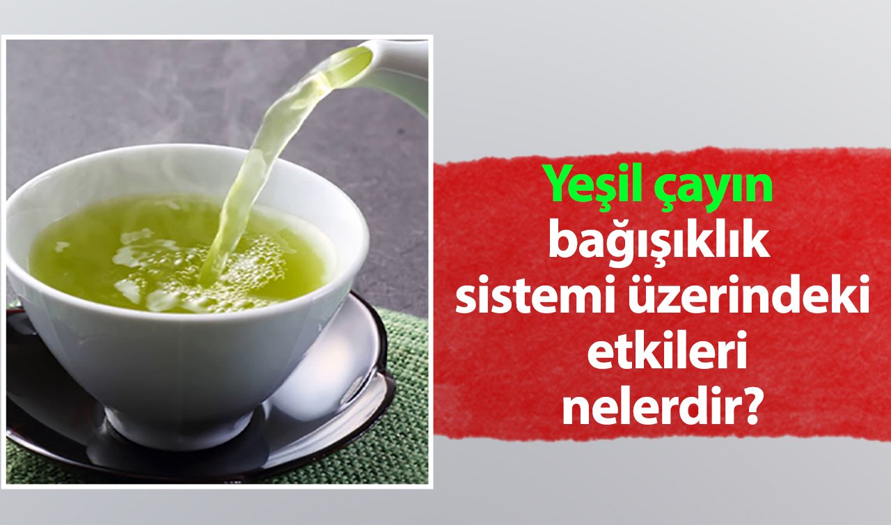  Yeşil çayın bağışıklık sistemi üzerindeki etkileri nelerdir?