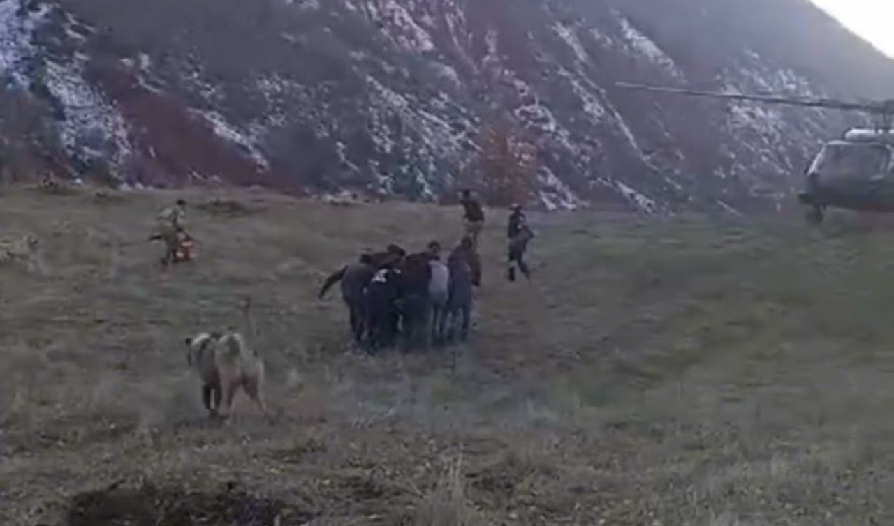  Domuz saldırısından kaçarken uçurumdan düştü! 