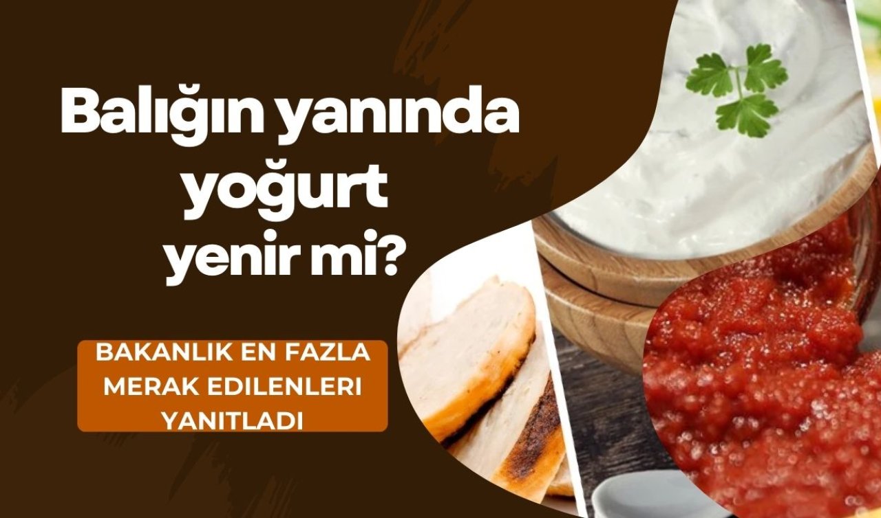  Balığın yanında yoğurt yenir mi? İşte en çok merak edilen sorulara bakanlığın yanıtları