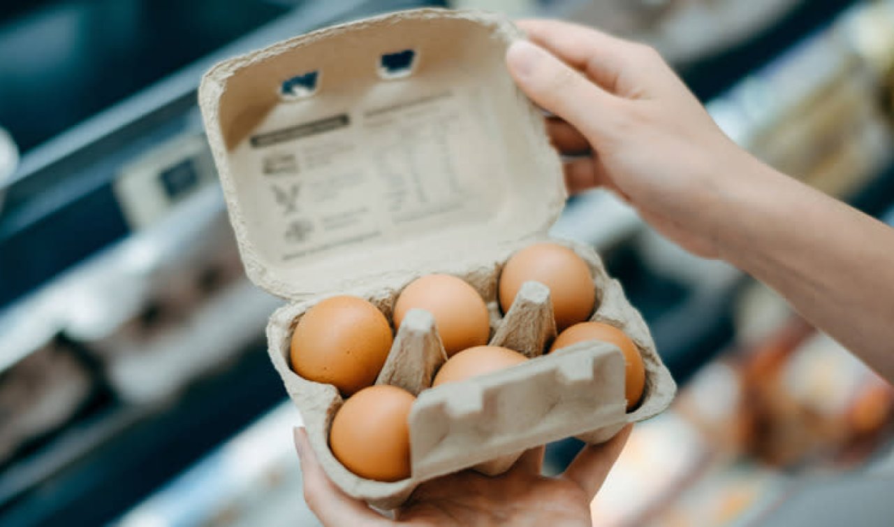 Salmonella hangi gıdalarda bulunur? Salmonella nedir?  