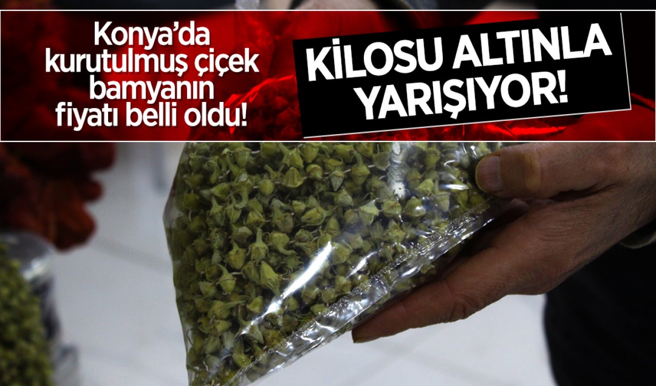 Konya’da kurutulmuş çiçek bamyanın fiyatı belli oldu! Kilosu altınla yarışıyor