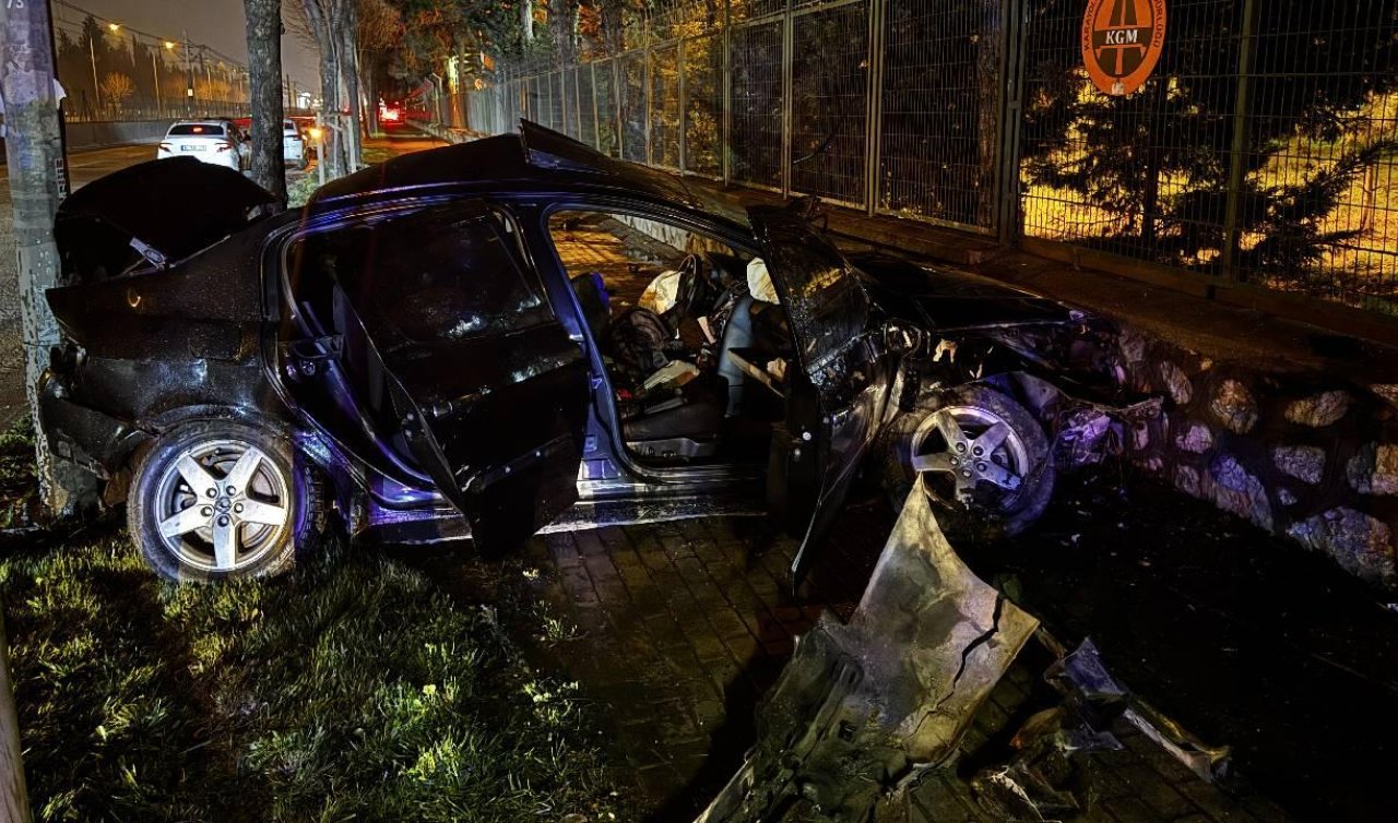 Ağaca ve aydınlatma direğine çarpan otomobildeki 2 kişi yaralandı
