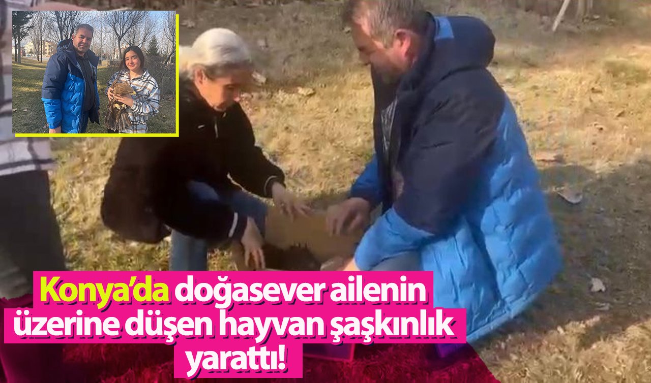 Konya’da doğasever ailenin üzerine düşen hayvan şaşkınlık yarattı!