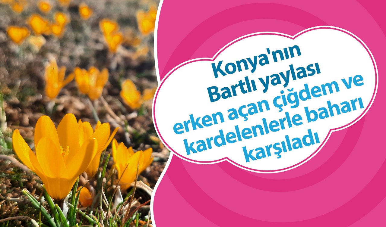  Konya’nın Bartlı yaylası, erken açan çiğdem ve kardelenlerle baharı karşıladı