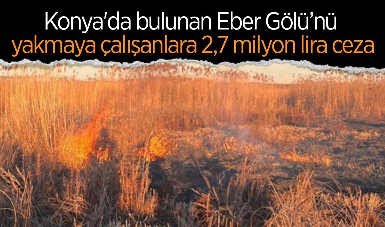  Konya’da bulunan Eber Gölü’nü yakmaya çalışanlara 2,7 milyon lira ceza