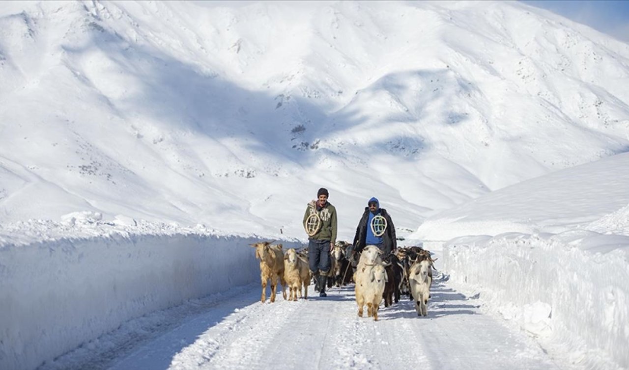Tunceli’de yarın okullar tatil mi? Tunceli’de 24 Şubat (Yarın) okullarda kar tatili var mı, ders işlenecek mi? Valilik açıklama yaptı mı?	