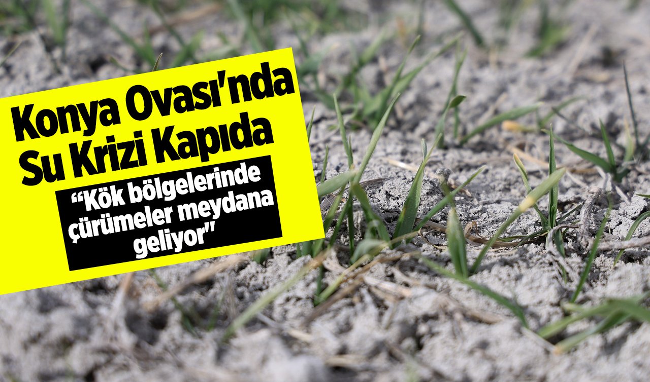  Konya Ovası’nda su krizi kapıda!