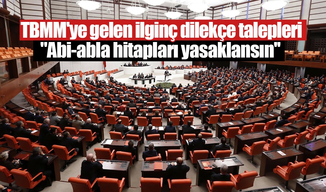  TBMM’ye gelen ilginç dilekçe talepleri: “Abi-abla hitapları yasaklansın’’