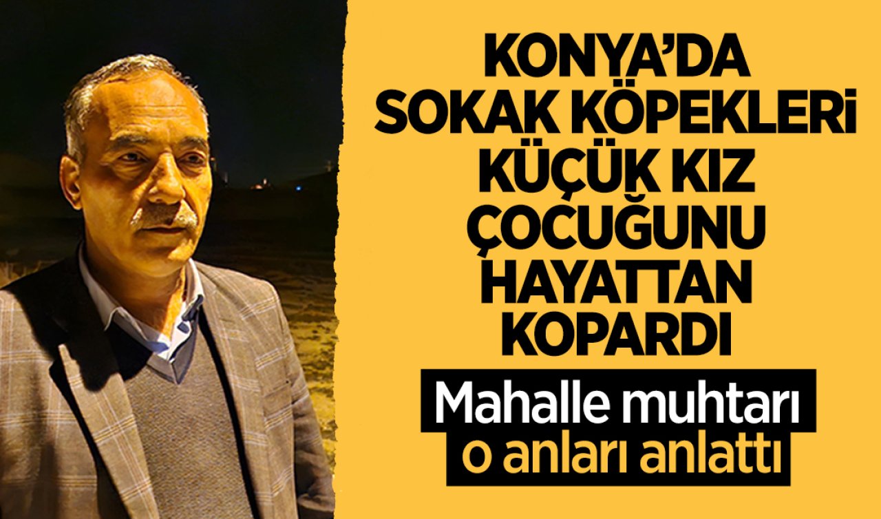 Konya’da başıboş sokak köpekleri küçük kız çocuğunu hayattan kopardı! Mahalle muhtarı o anları anlattı