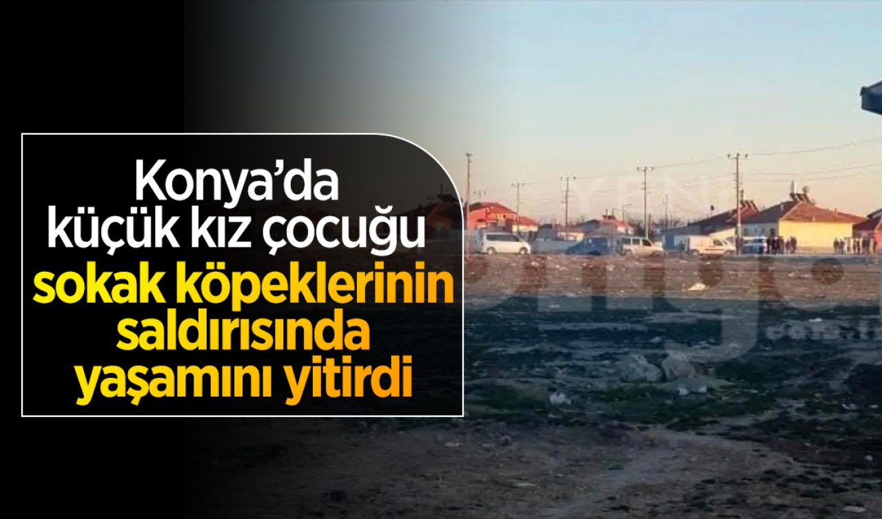 Konya’da küçük kız çocuğu sokak köpeklerinin saldırısında yaşamını yitirdi
