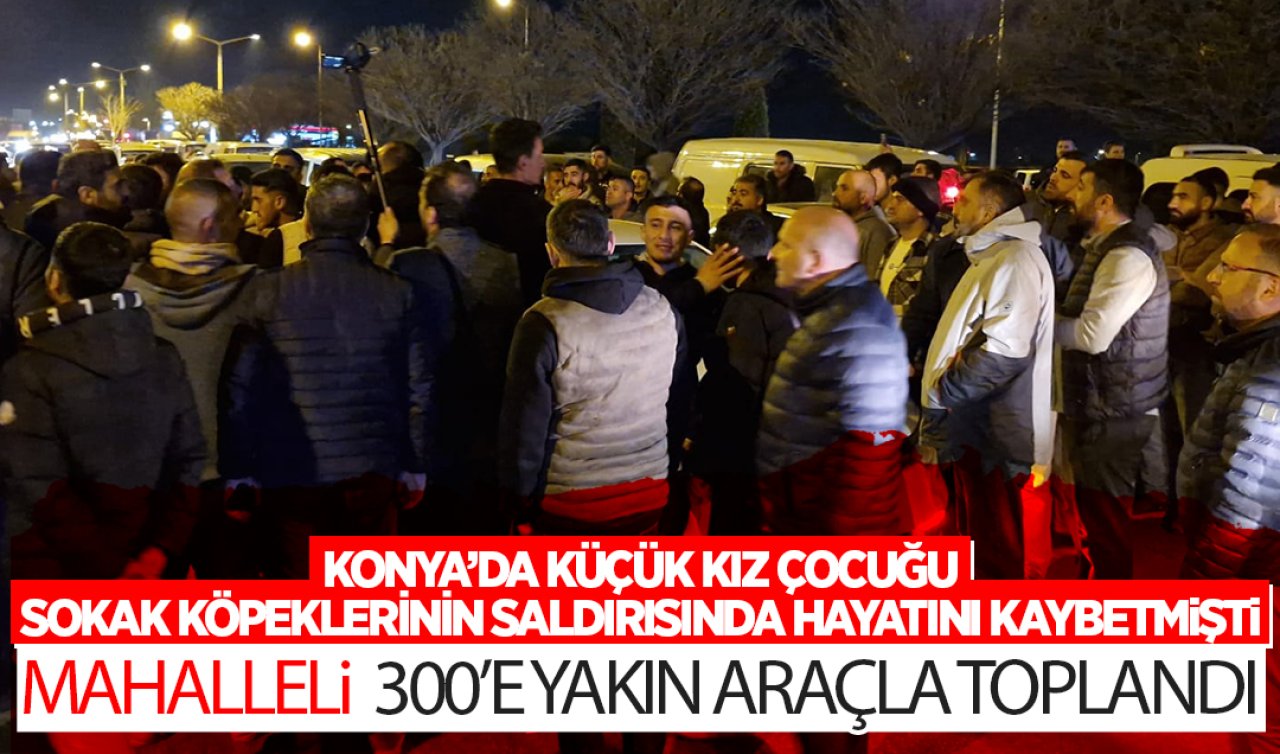 Konya’da küçük kız çocuğu başıboş köpeklerin saldırısı sonrası hayatını kaybetmişti! Mahalleli 300 araçla toplandı