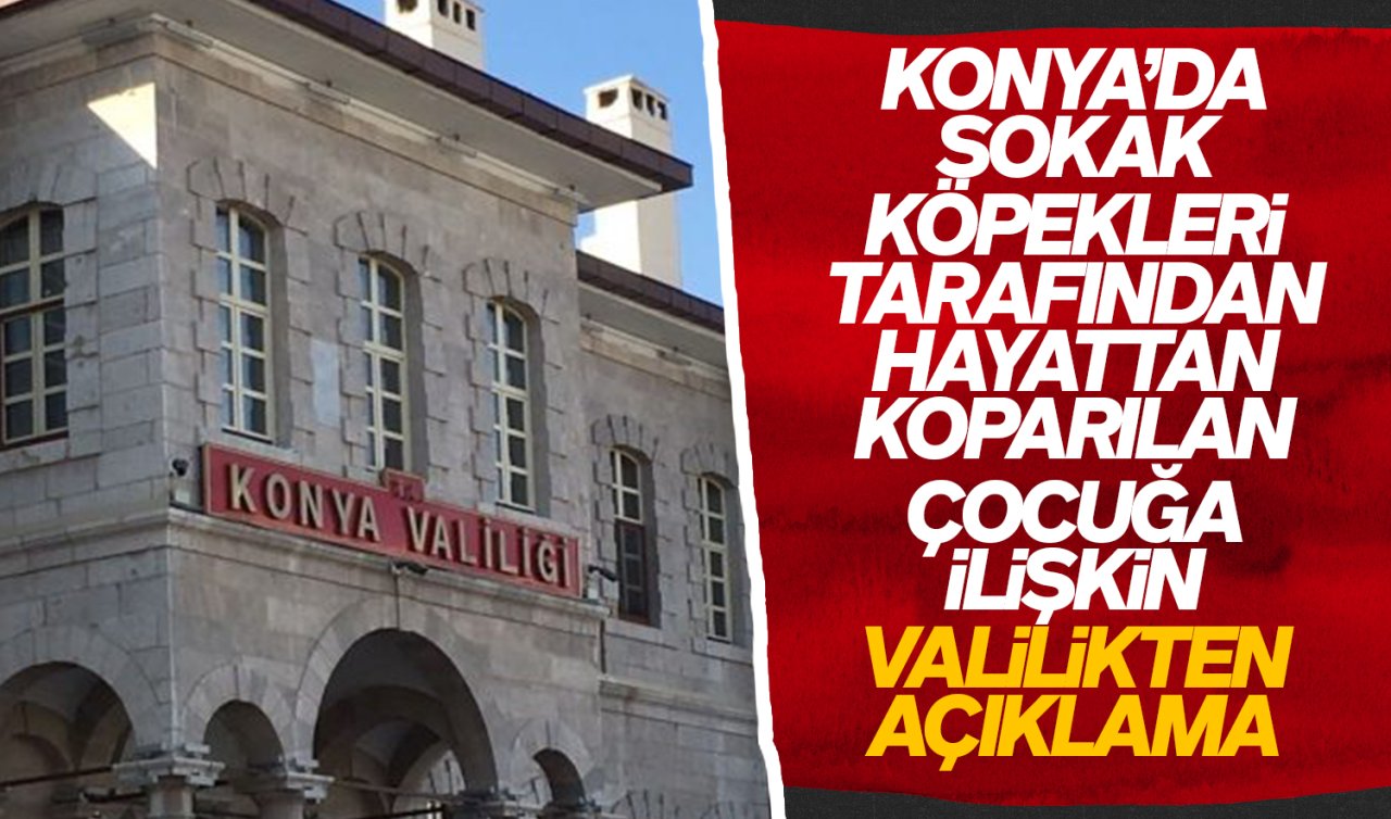 Konya’da sokak köpekleri tarafından hayattan koparılan çocuğa ilişkin valilikten açıklama