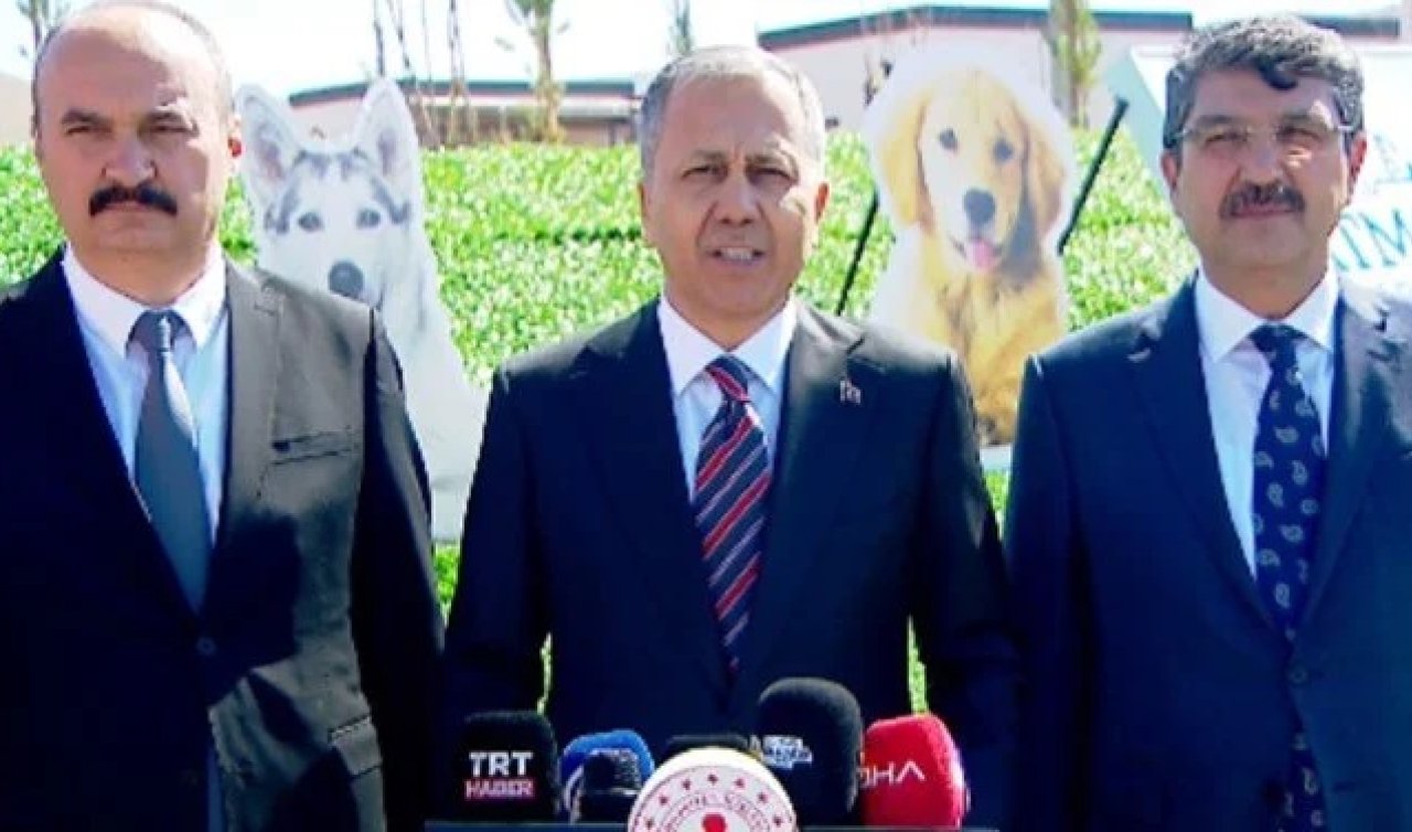 Sokak köpekleri tartışması: İçişleri Bakanlığı 81 ile müfettiş gönderdi