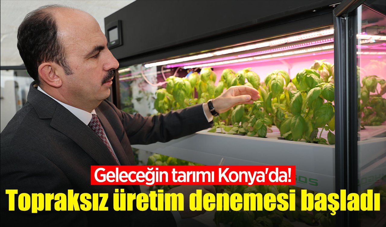 Geleceğin tarımı Konya’da! Topraksız üretim denemesi başladı