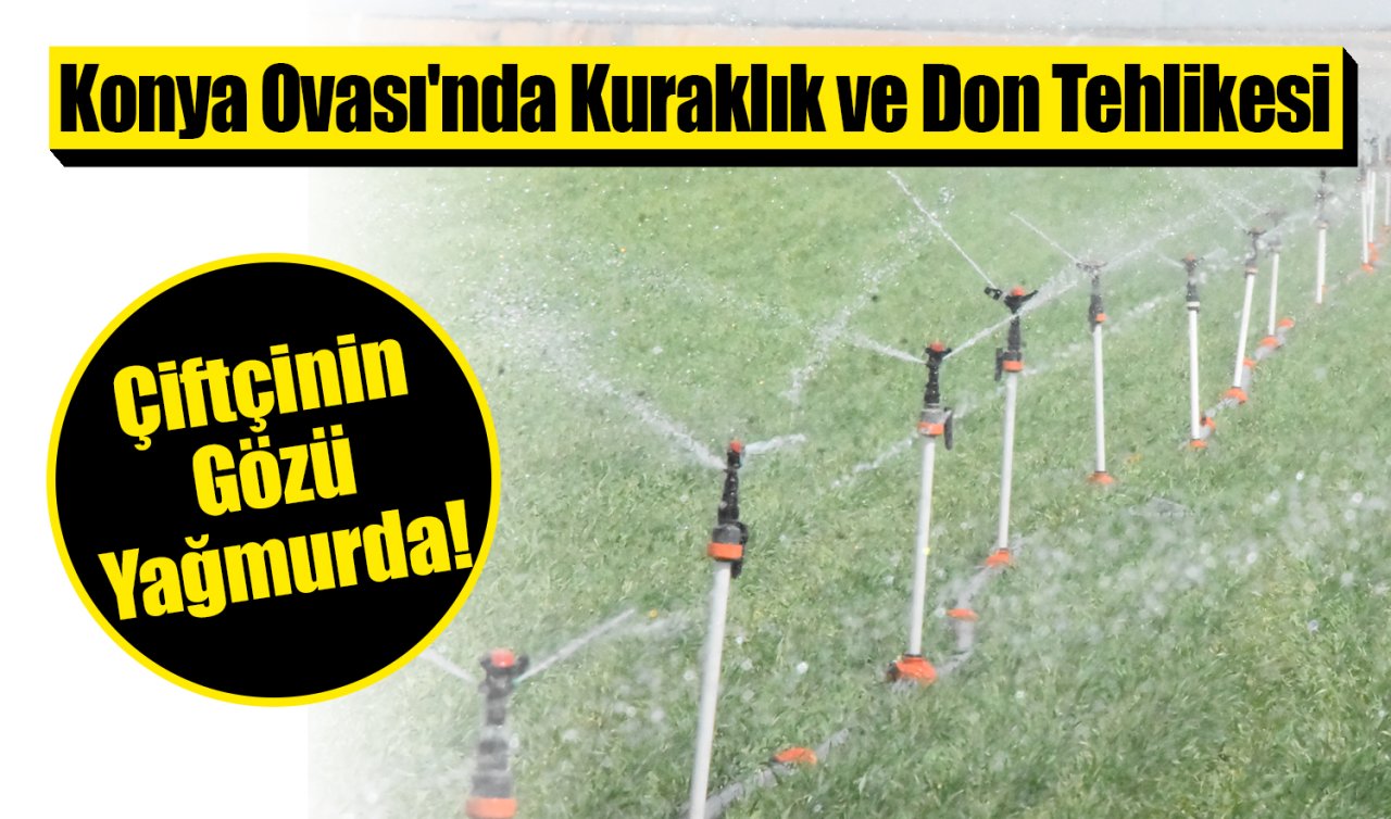Konya Ovası’nda Kuraklık ve Don Tehlikesi: Çiftçinin Gözü Yağmurda! 