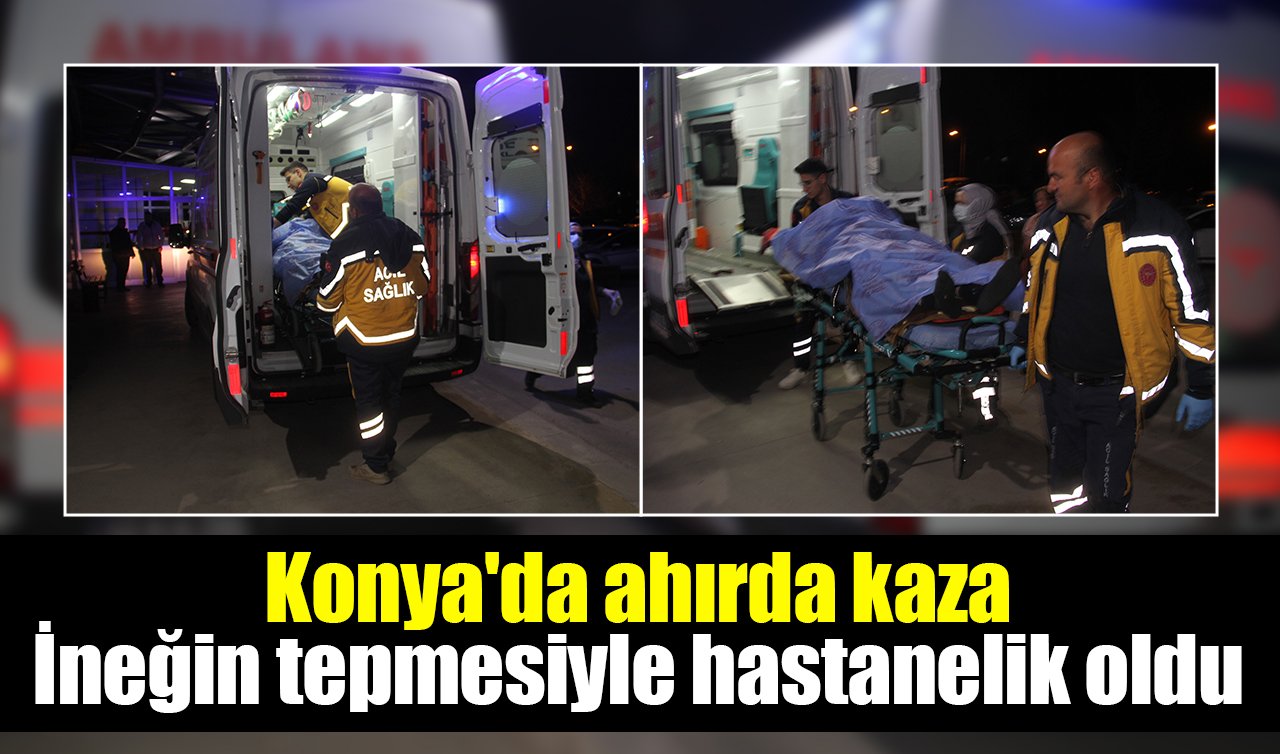  Konya’da ahırda kaza: İneğin tepmesiyle hastanelik oldu