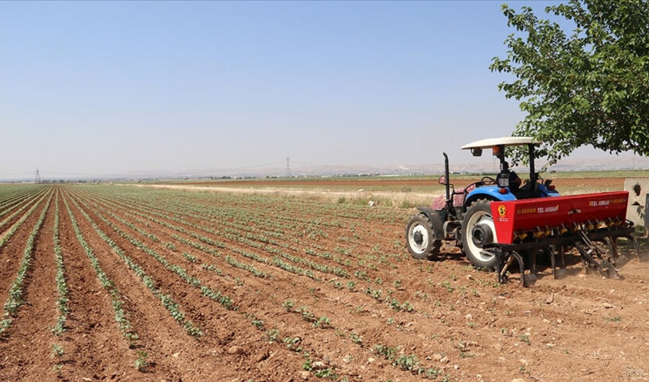 2025 çiftçi destek ödemesi sorgulama ekranı: Mazot gübre desteği ne zaman yatacak 2025? TARIMSAL DESTEK ÖDEMELERİ NE KADAR?