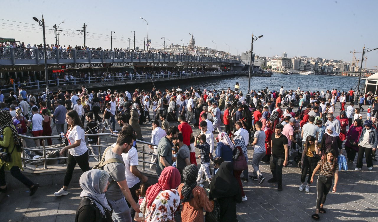 İstanbul’da Binlercesi Var! En Az Adalar’da, En Çok Esenyurt’ta Bulunuyor