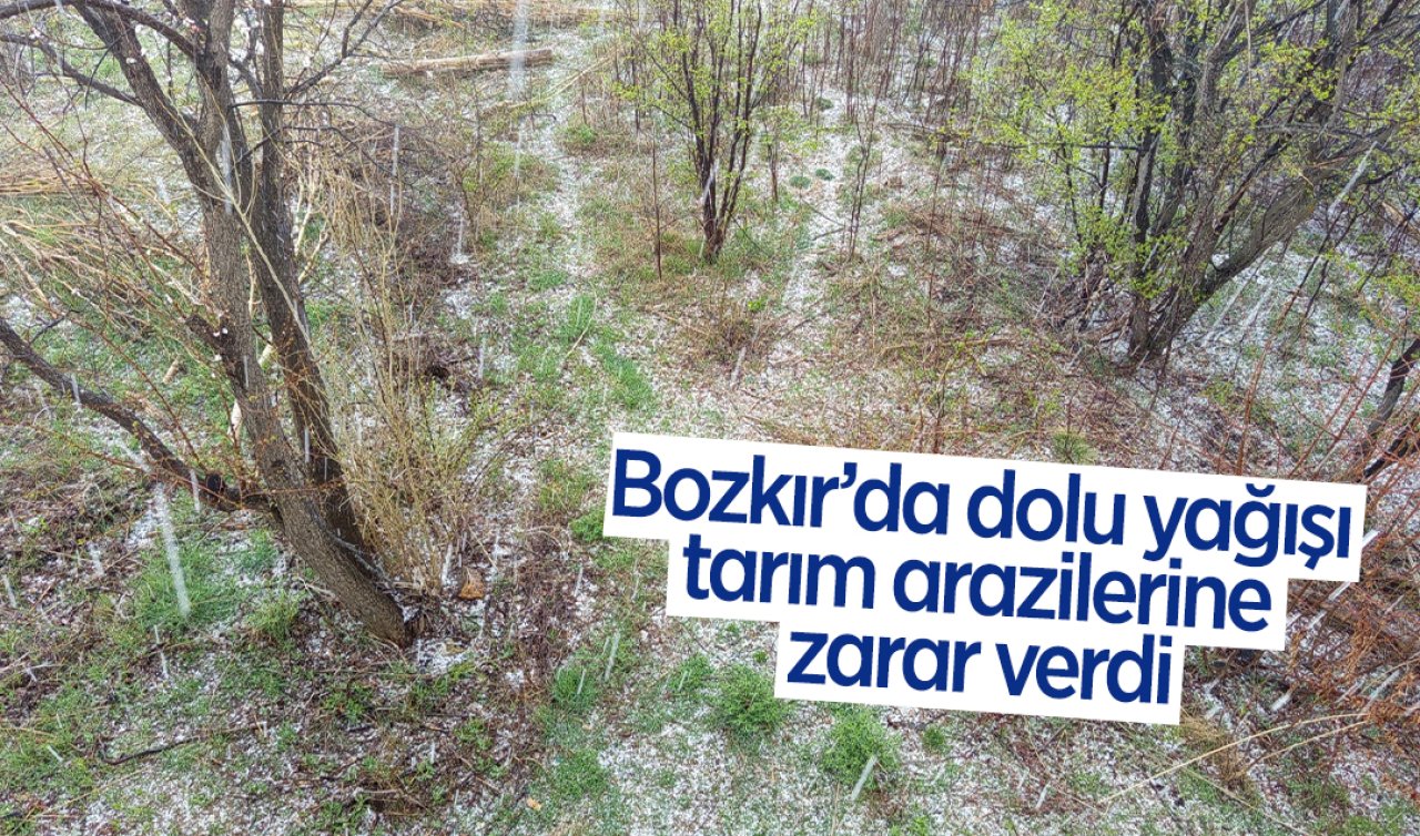  Bozkır’da dolu yağışı tarım arazilerine zarar verdi
