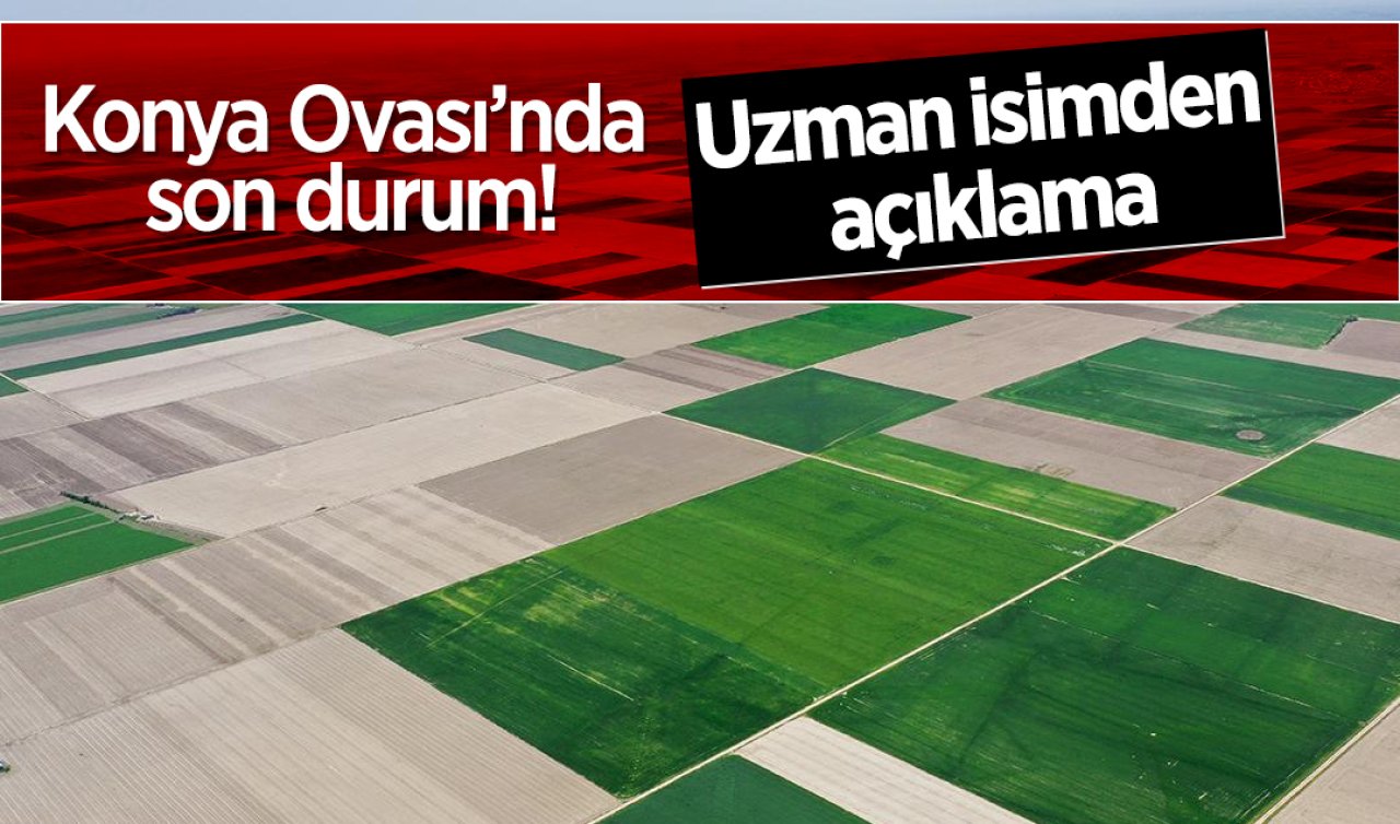 Konya Ovası’nda son durum! Uzman isimden açıklama