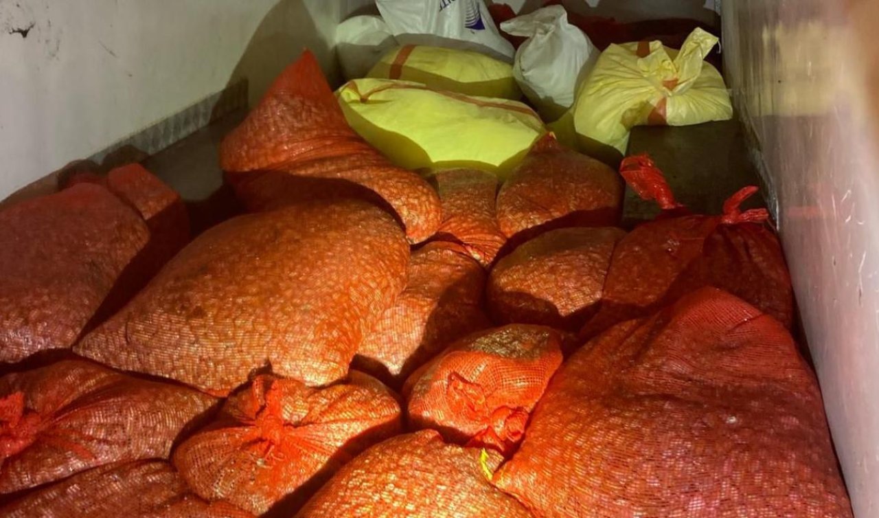  Kaçak midye avına 37 bin lira ceza