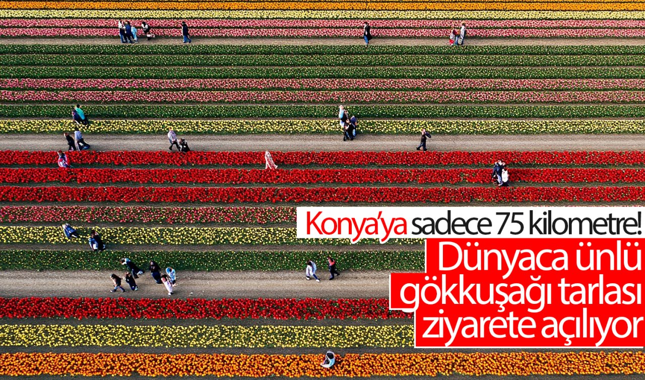 Konya’ya sadece 75 kilometre! Dünyaca ünlü gökkuşağı tarlası ziyarete açılıyor