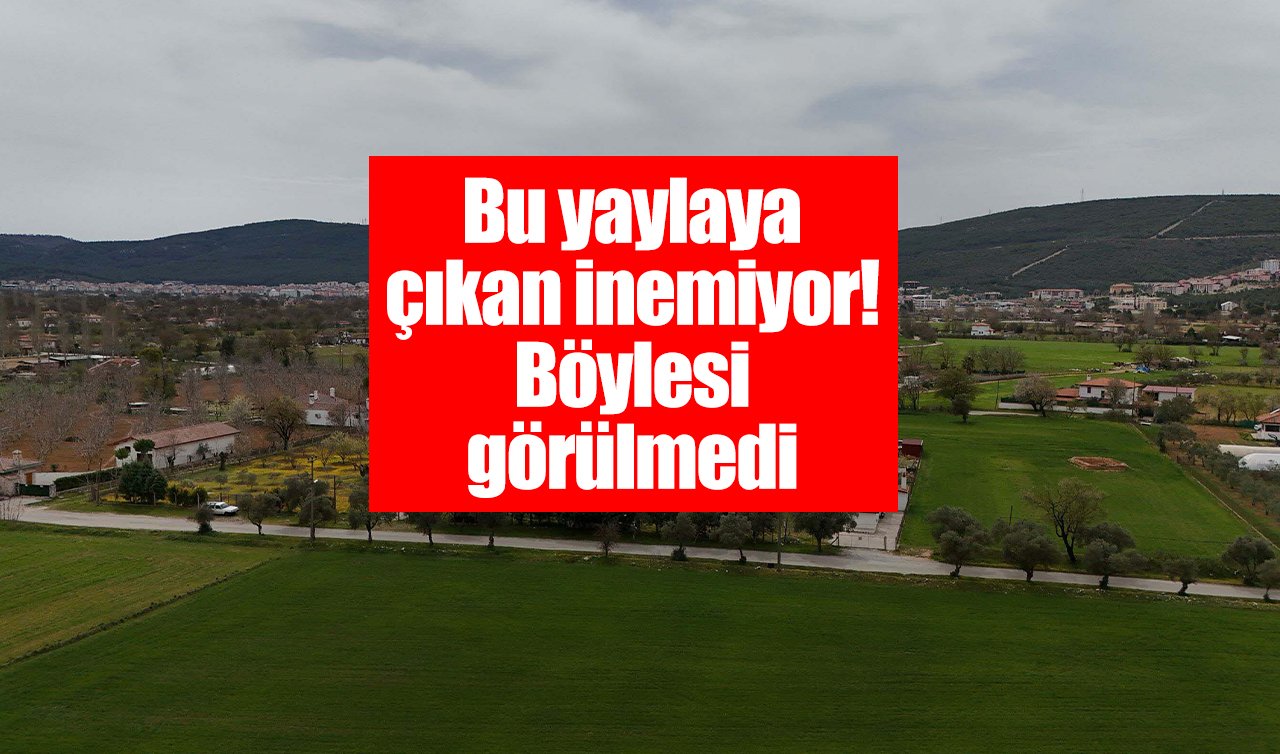  Bu yaylaya çıkan inemiyor! Böylesi görülmedi 