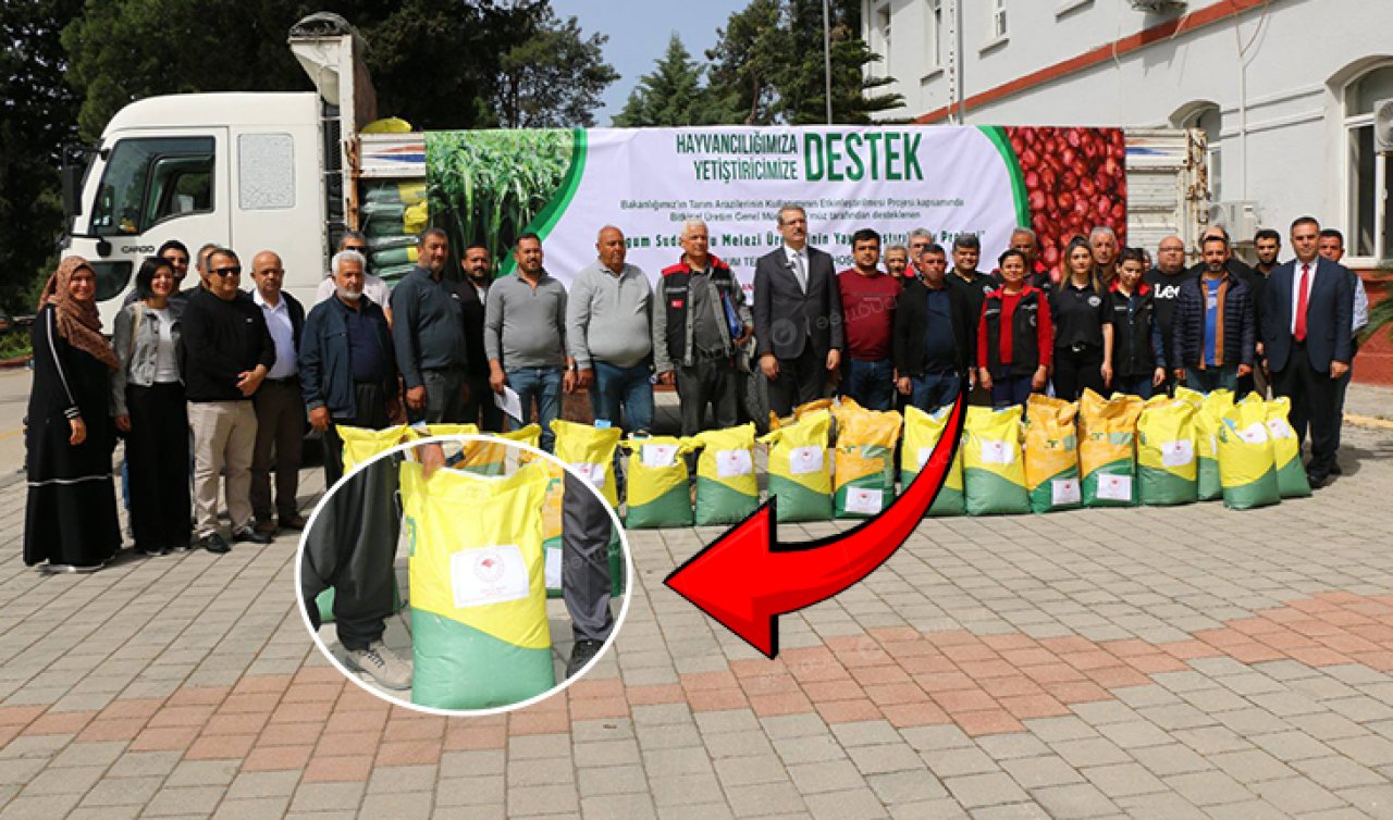 Adana’da dolu kamyon sokak ortasına yanaştı! Dalına çuvalı alan gitti