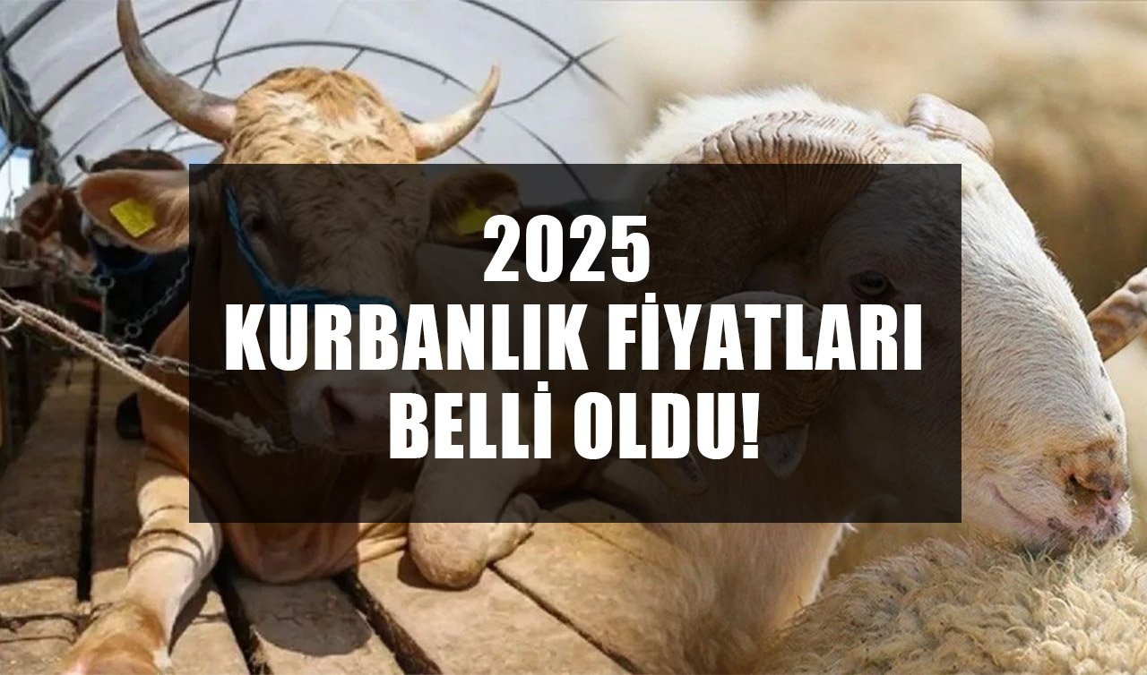  2025 Kurbanlık fiyatları: Büyükbaş ve Küçükbaş Kurban Fiyatları Ne Kadar?