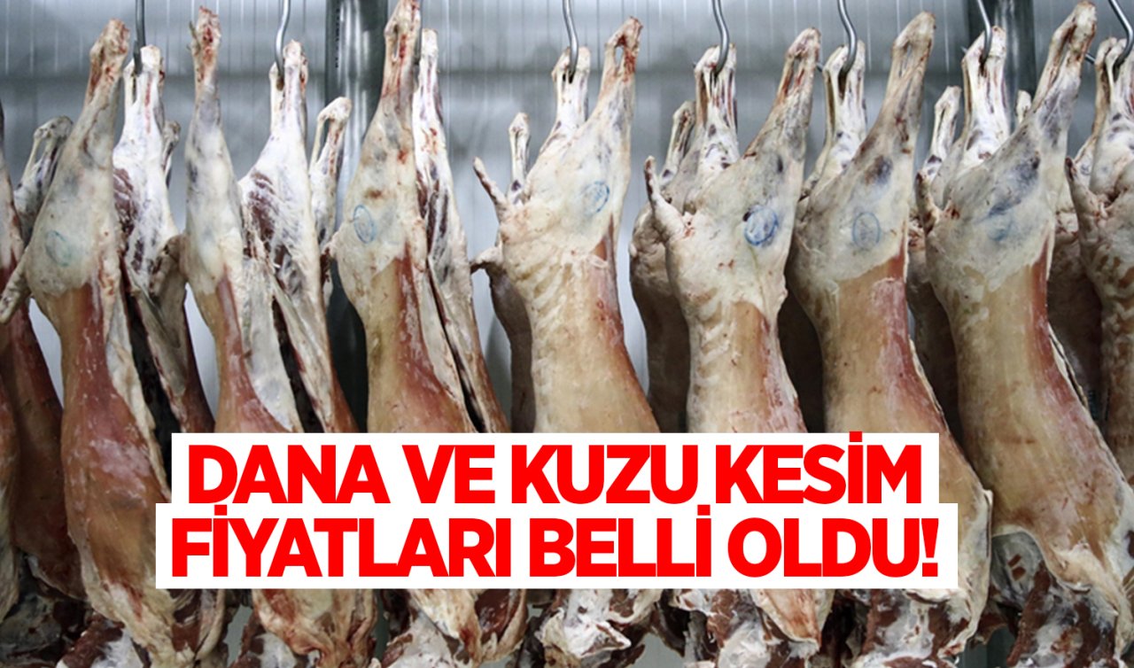 Karkas Et Kesim fiyatları fırladı! İşte güncel dana ve kuzu fiyatları